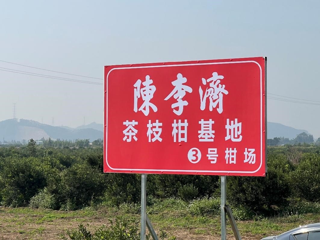 广药白云山积极保护道地药材资源，图为陈李济茶枝柑基地。